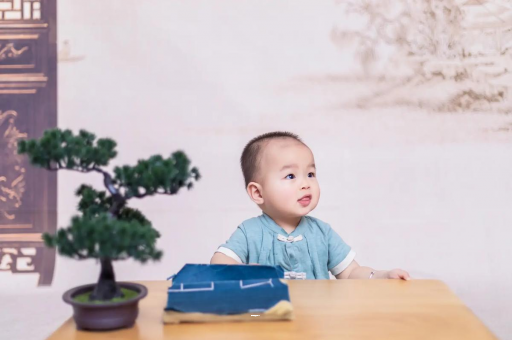 咸宁孕妇孕期食谱APP